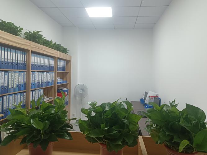 税务服务;财务咨询;资产评估;商务代理代办服务;市场主体登记注册